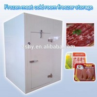 Frozen meat cold room freezer storage